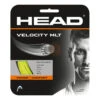 Head Velocity MLT String Set 12m -Wilson Store 02317000 000 1